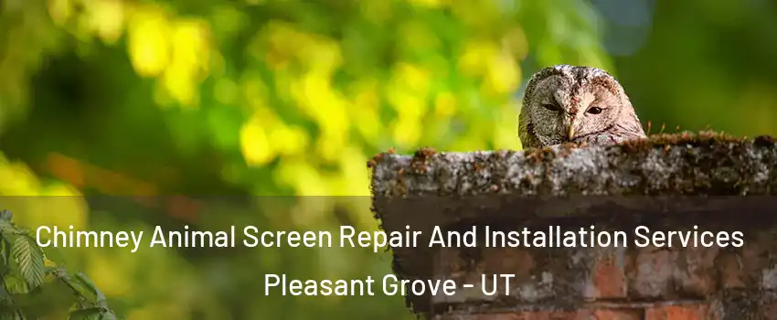  Chimney Animal Screen Repair And Installation Services Pleasant Grove - UT