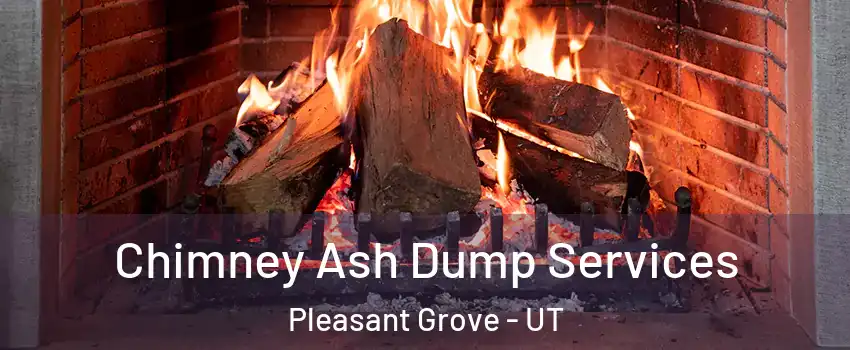  Chimney Ash Dump Services Pleasant Grove - UT