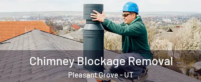  Chimney Blockage Removal Pleasant Grove - UT