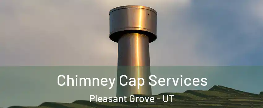  Chimney Cap Services Pleasant Grove - UT