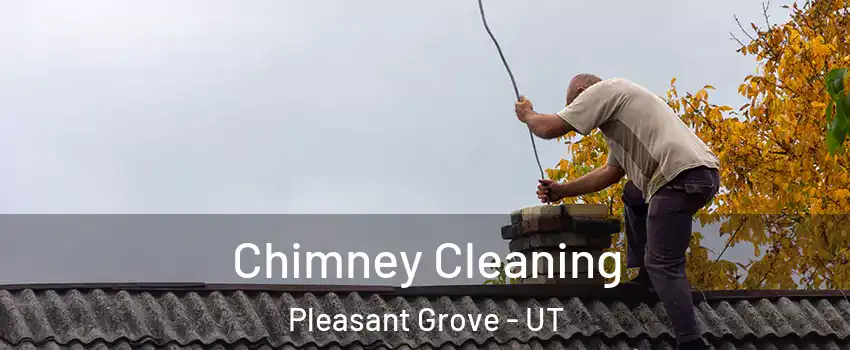  Chimney Cleaning Pleasant Grove - UT