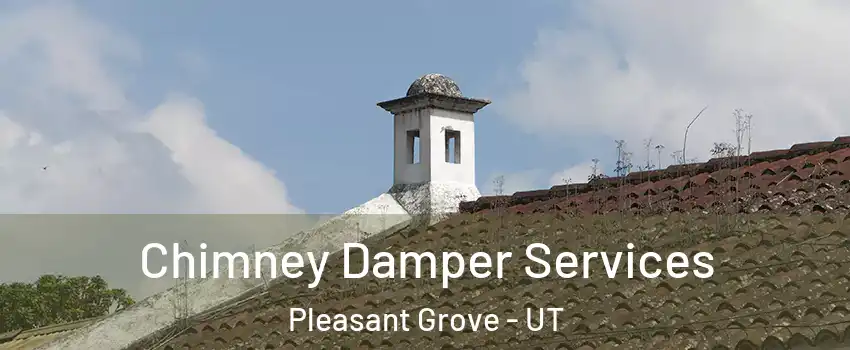  Chimney Damper Services Pleasant Grove - UT