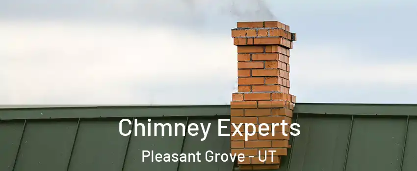 Chimney Experts Pleasant Grove - UT