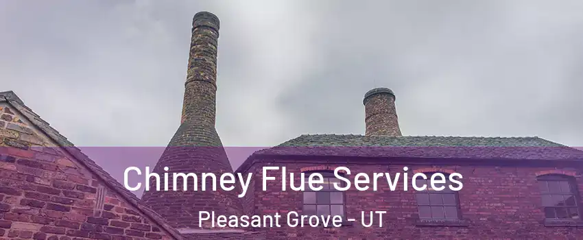  Chimney Flue Services Pleasant Grove - UT