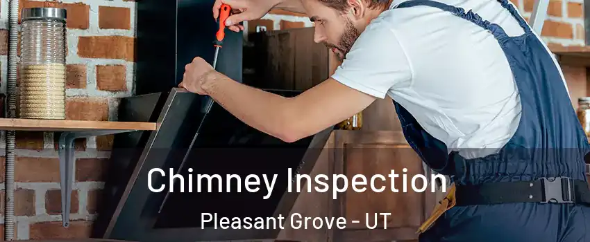  Chimney Inspection Pleasant Grove - UT