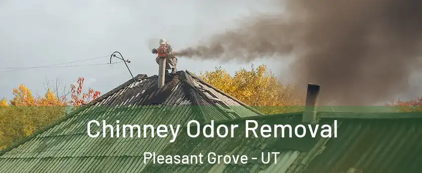  Chimney Odor Removal Pleasant Grove - UT