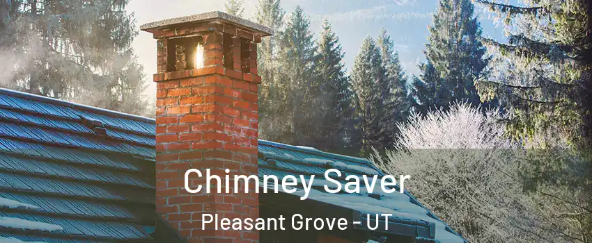  Chimney Saver Pleasant Grove - UT