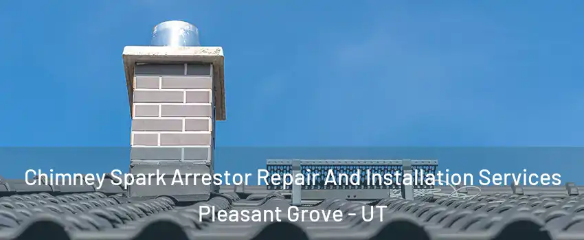  Chimney Spark Arrestor Repair And Installation Services Pleasant Grove - UT