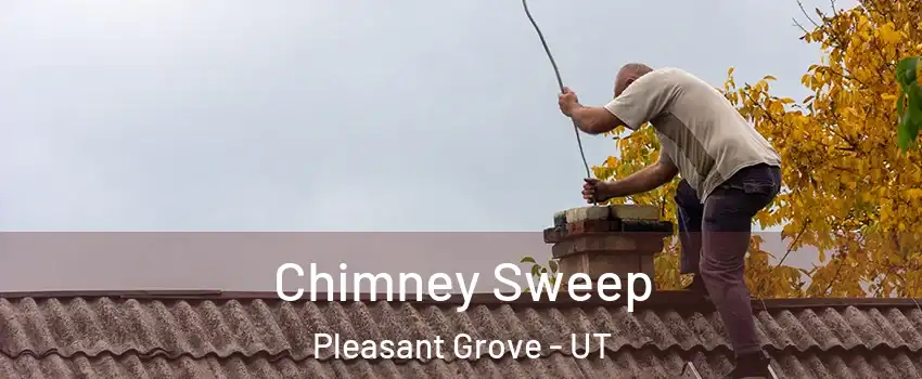 Chimney Sweep Pleasant Grove - UT