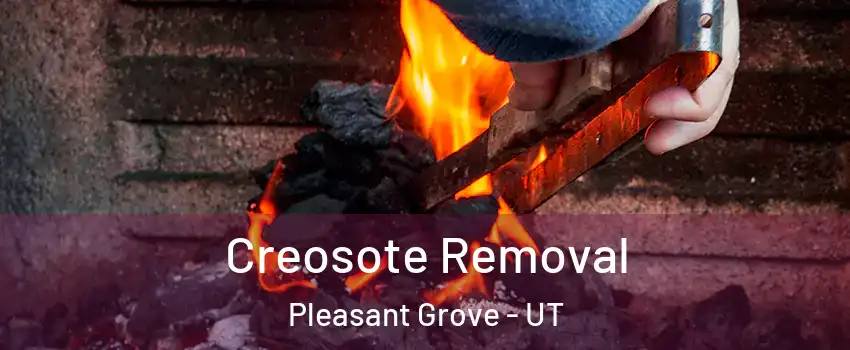  Creosote Removal Pleasant Grove - UT