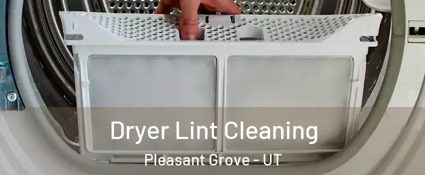  Dryer Lint Cleaning Pleasant Grove - UT