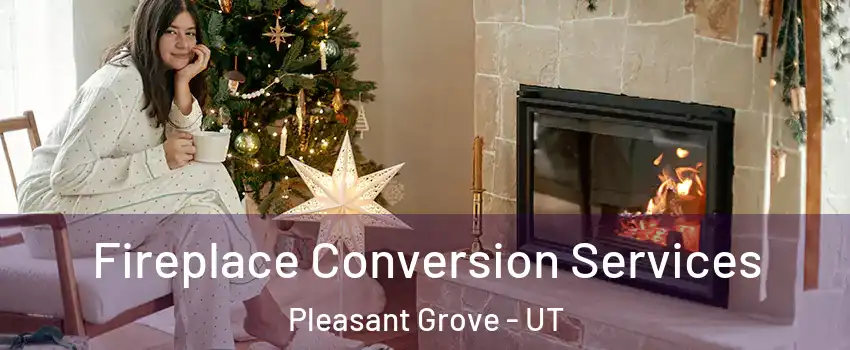 Fireplace Conversion Services Pleasant Grove - UT