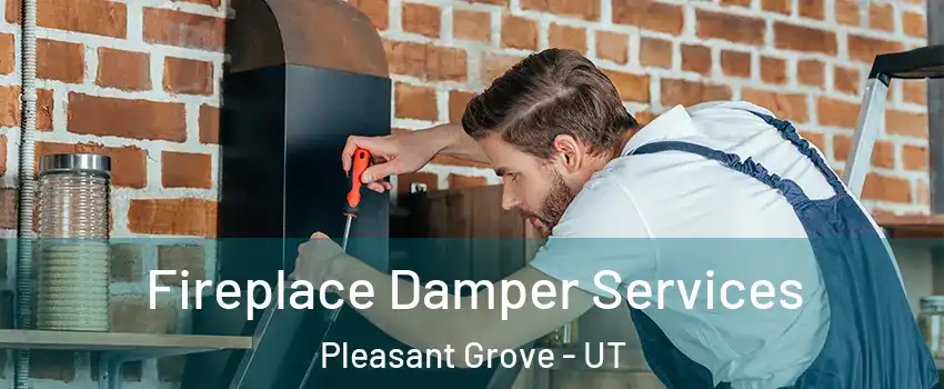  Fireplace Damper Services Pleasant Grove - UT