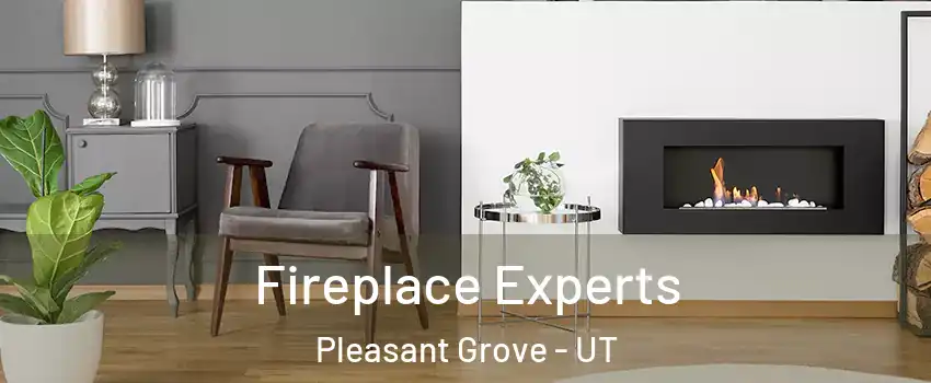  Fireplace Experts Pleasant Grove - UT