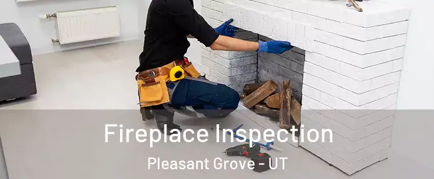  Fireplace Inspection Pleasant Grove - UT
