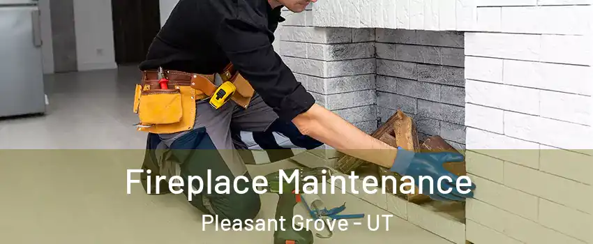  Fireplace Maintenance Pleasant Grove - UT