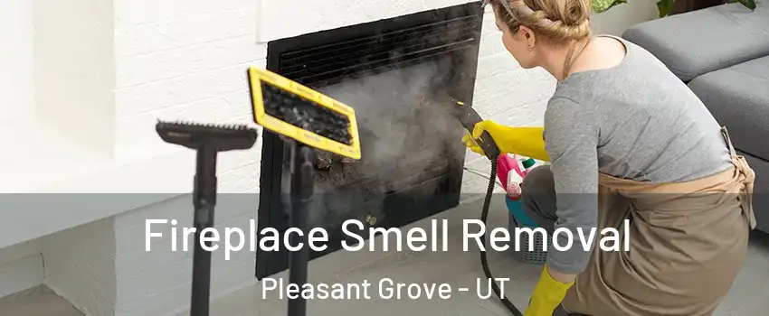  Fireplace Smell Removal Pleasant Grove - UT