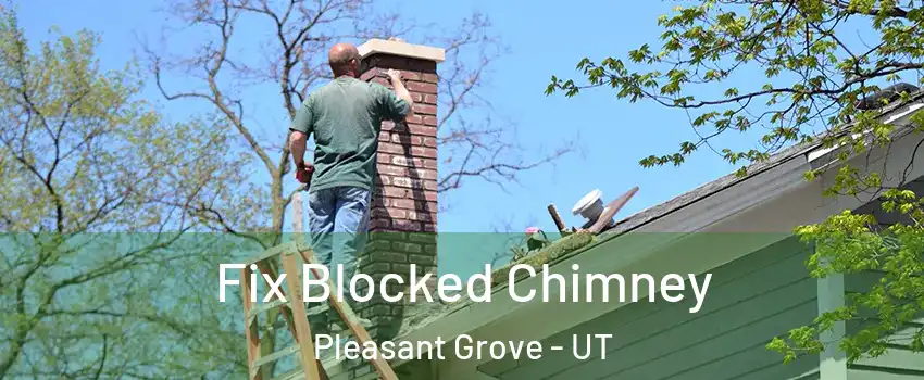  Fix Blocked Chimney Pleasant Grove - UT