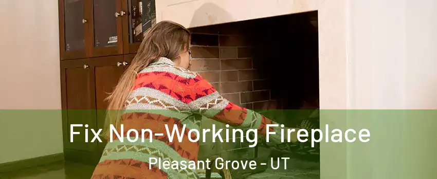  Fix Non-Working Fireplace Pleasant Grove - UT