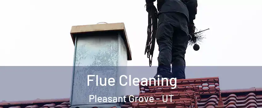  Flue Cleaning Pleasant Grove - UT