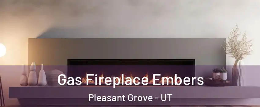  Gas Fireplace Embers Pleasant Grove - UT