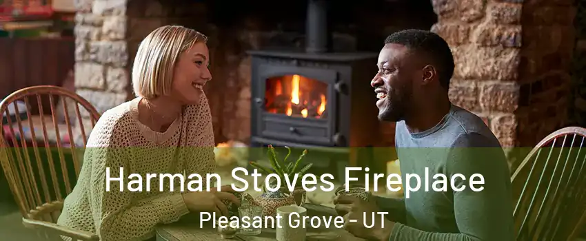  Harman Stoves Fireplace Pleasant Grove - UT