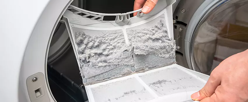 Best Dryer Lint Removal Company in Pleasant Grove, Utah