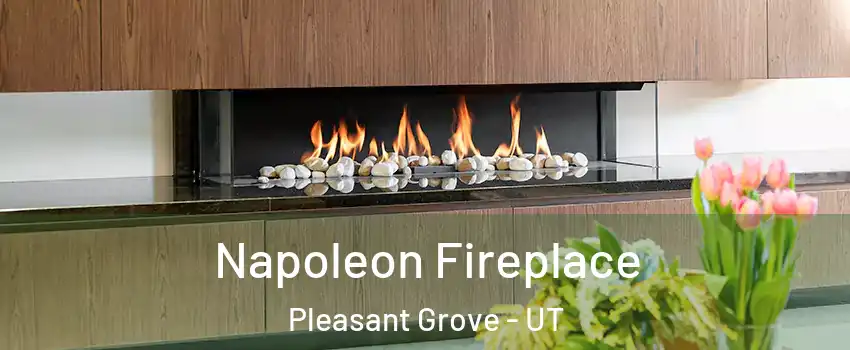  Napoleon Fireplace Pleasant Grove - UT