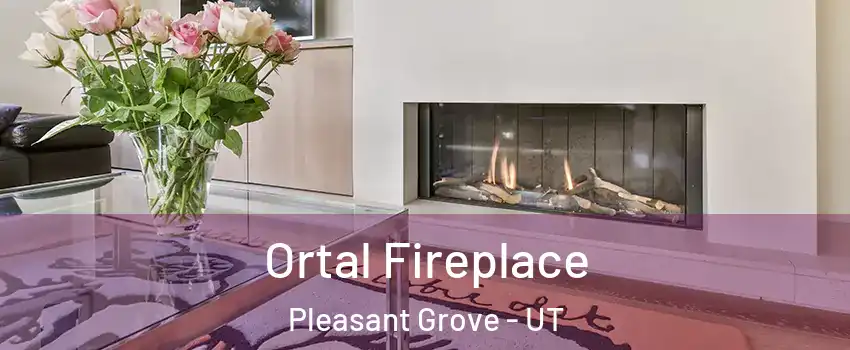 Ortal Fireplace Pleasant Grove - UT