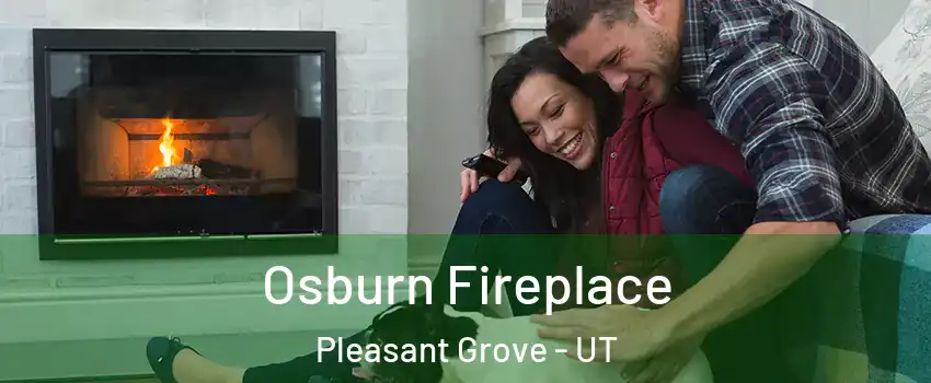  Osburn Fireplace Pleasant Grove - UT