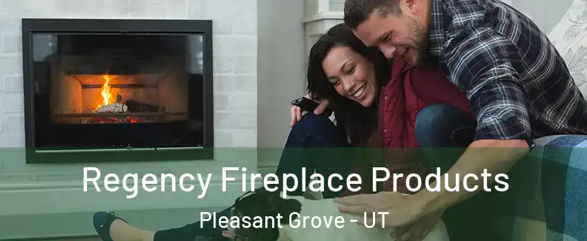  Regency Fireplace Products Pleasant Grove - UT