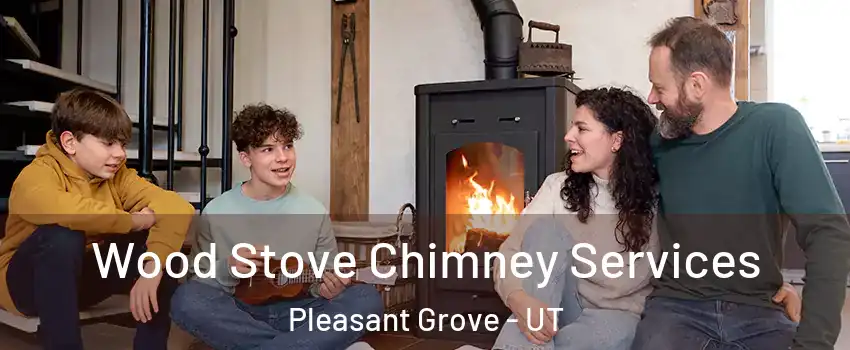  Wood Stove Chimney Services Pleasant Grove - UT